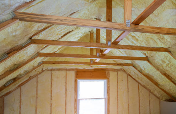 Best Insulation Installation Services in Halawa, HI
