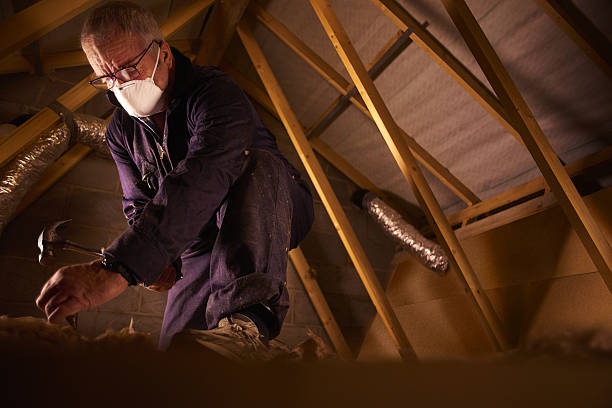 , HI Insulation Contractor Company